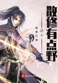 这个散修有点野