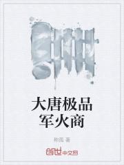 大唐极品军火商