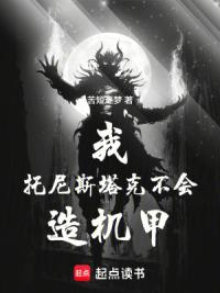 我，托尼斯塔克，不会造机甲！